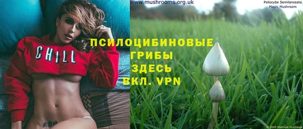 spice Белокуриха